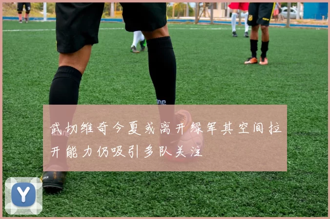武切维奇今夏或离开绿军其空间拉开能力仍吸引多队关注